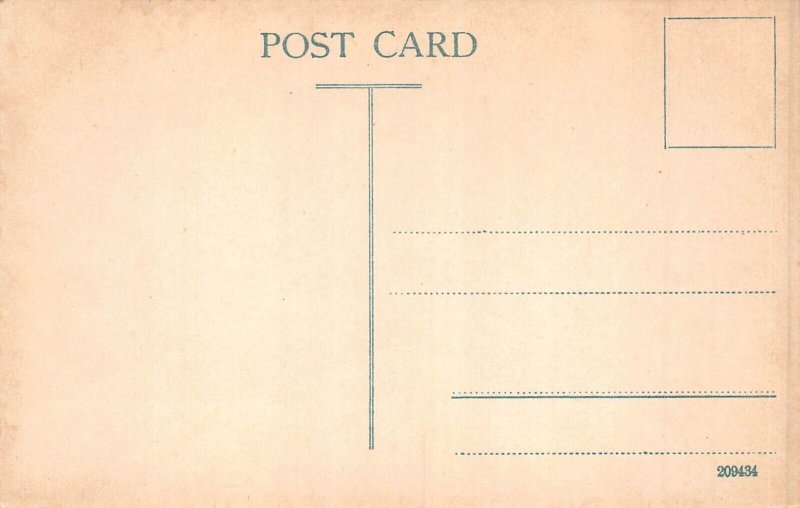 A005 India The Hooseinabad Emambara Lucknow vintage postcard