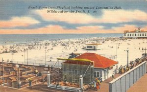 WILDWOOD-BY-THE-SEA, New Jersey NJ    BEACH SCENE & PLAYLAND   ca1940's Postcard