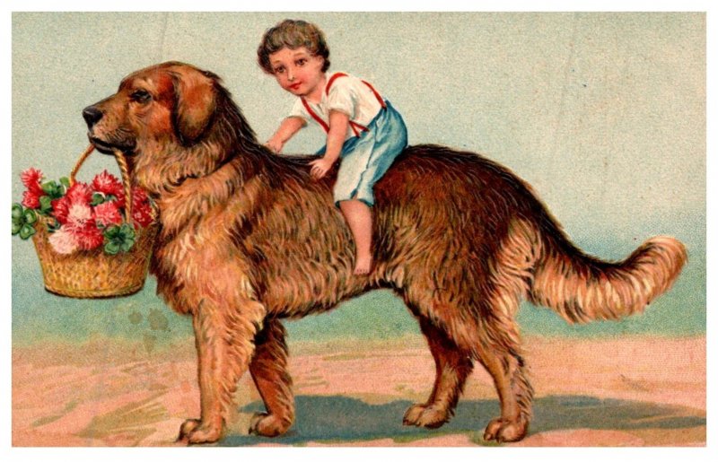 Dog , Boy riding large dog , carrying basket Flowers