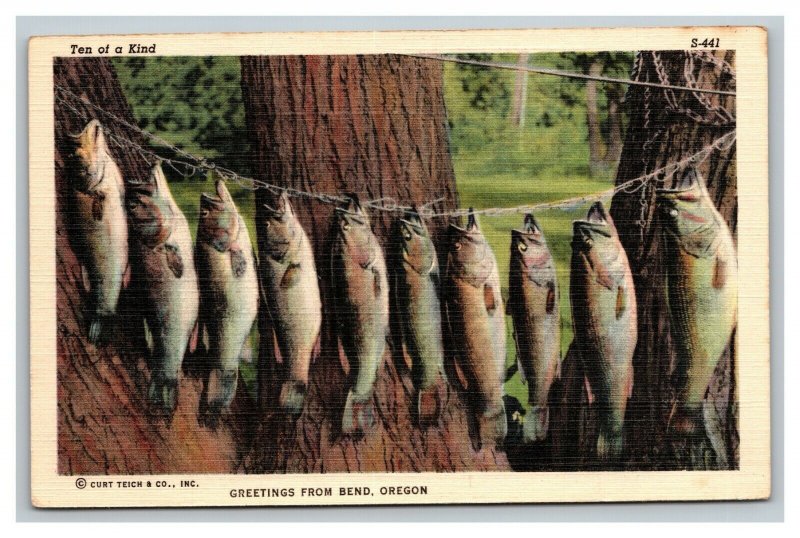 VINTAGE Curteich Fishing Scenes Linen Postcard Fishing Bend Oregon UNUSED