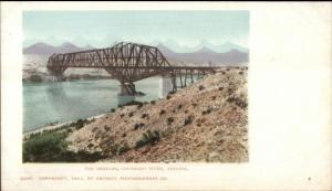 Needles Colorado River Bridge AZ 1901 Detroit Publishing Postcard