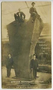 Cleveland Expo African Mahogany Crotch RPPC Postcard 