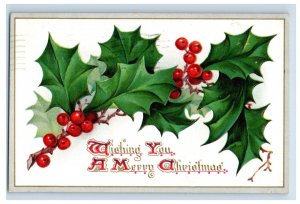 Vintage Berries Holly Raphael Tuck Christmas Postcard F108E