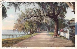 South River Avenue Ormond Florida 1912 postcard