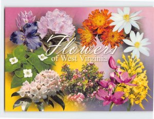 Postcard Flowers of West Virginia