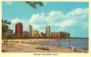 CHICAGO, Illinois IL   OAK STREET BEACH  Sunbathers~Swimmers  SKYLINE  Postcard