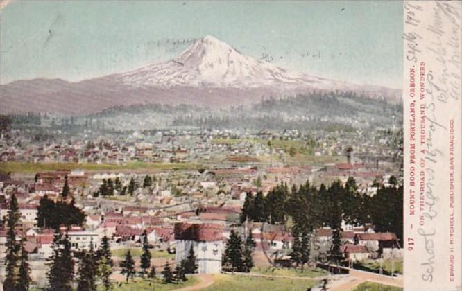 Oregon Portland View Of Mount Hood 1907