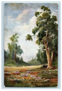 c. 1930 Collins Eucalyptus Tree & Wild Flowers, CA. Postcard P31 