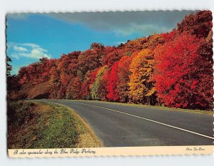 Postcard A color spectacular along the Blue Ridge Parkway, North Carolina