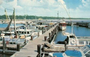 GULFPORT, Mississippi MS ~CHARTER~DEEP SEA FISHING BOATS Municipal Pier Postcard