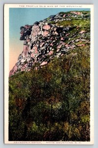 Old Man of the Mountain Franconia Notch NH Postcard Chisholm Brothers