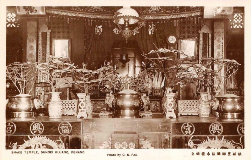 RPPC Snake Temple SUNGEI KLUANG Penang Sungai Malaysia Vintage Photo Postcard