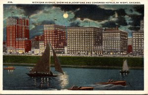 Illinois Chicago Michigan Avenue Showing Blackstone and Congress Hotels By Night