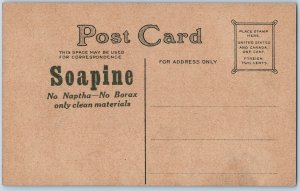 c1910s Soapine Advertising Postcard Potted Cattleya Orchid Flowers No Borax A195