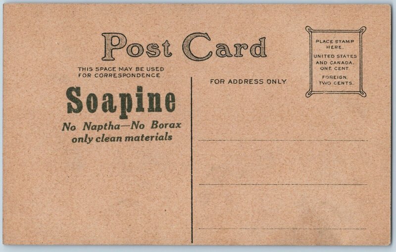 c1910s Soapine Advertising Postcard Potted Cattleya Orchid Flowers No Borax A195