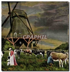 Old Postcard Cow wind mill