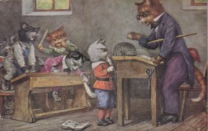 Novelty Squeak Humanized Cats at School Mouse in Cage vintage postcard  B925