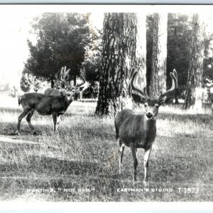 c1950s Hunting Not Bad RPPC Eastman's Studio Real Photo Buck West Postcard A93