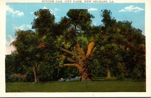 Louisiana New Orleans City Park Suicide Oak