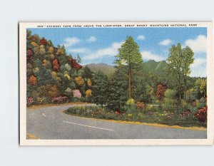 Postcard Chimney Tops Great Smoky Mountains National Park Tennessee USA