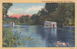 Florida Silver Spring Glass Bottom Boats On Beautiful Silver Springs