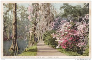 Walk along the Lake , Magnolis on the Ashley , CHARLESTON , South Carolina , ...