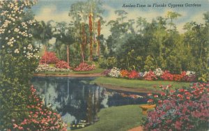 Florida Azalea Time in Cypress Gardens Tropical FL Series Linen Postcard Unused