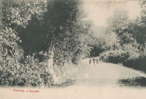 Malaysia Penang A Bye Path Antique Postcard