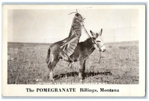 c1940's Grasshopper Riding Donkey Pomegranate Billings MT RPPC Photo Postcard