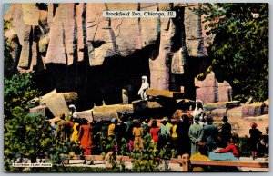 Vtg Chicago Illinois IL Brookfield Zoo Polar Bears Pit Zoological Park Postcard