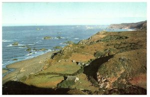 Brookings on the Coast of Southern Oregon Union Oil Postcard