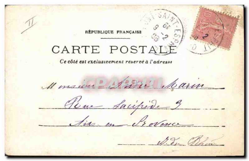 PHOTO CARD Pont Saint Esprit Dogs Dog