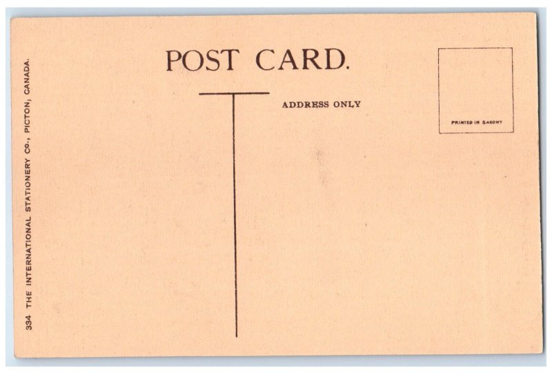 c1920's On Dominion Driveway Ottawa Ontario Canada Unposted Postcard