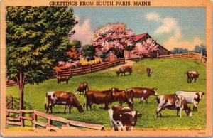 Vtg Scenic Greetings from South Paris Maine Cattle Farm 1950s Linen Postcard