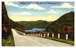 Postcard ROAD SCENE Between Lock Haven And Williamsport Pennsylvania PA AP2887