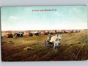 c1910 Threshing Farm Agriculture Scene Mohall North Dakota ND Renville County