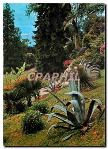 Postcard Modern South Gardens