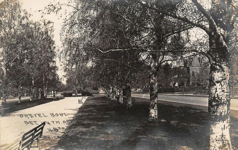 Chicago-North Kenwood IL~Birch Trees~Drexel Blvd~nr KCPHS Prep School RPPC 1909 