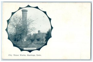 c1910's City Water Works Trees Hastings Nebraska NE Unposted Vintage Postcard