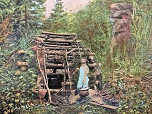 Postcard Maine Logging Camp, The Cook at the Bean Hole  W6