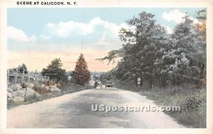 Road Scene - Callicoon, New York NY  