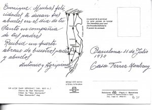 San Bernardo dog Modern Spanish photo postcard