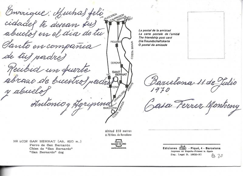 San Bernardo dog Modern Spanish photo postcard