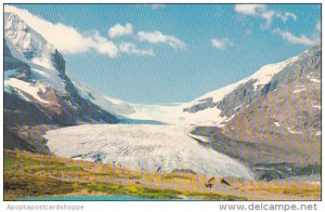 Canada Alberta Jasper The Columbia Icefields