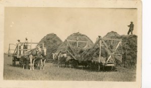 Postcard RPPC View of a Midwestern US Farming Scene.    L1