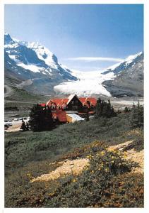 Icefield Parkway - Alberta, Canada