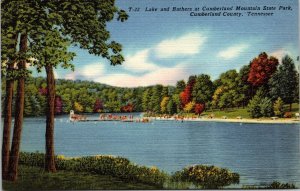 Lake Bathers Cumberland Mountain State Park County TN Tennessee Linen Postcard 