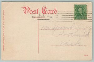 Lansing Michigan~City Hall Post Office YMCA~c1910 Postcard
