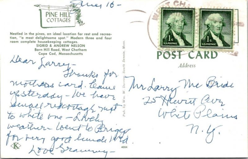 MA, West Chatham  PINE HILL COTTAGES~Sigrid Nelson CAPE COD ROADSIDE  Postcard