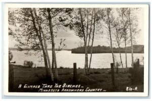 1950 Glimpse Thru The Birches Minnesota Arrowhead Country MN RPPC Photo Postcard